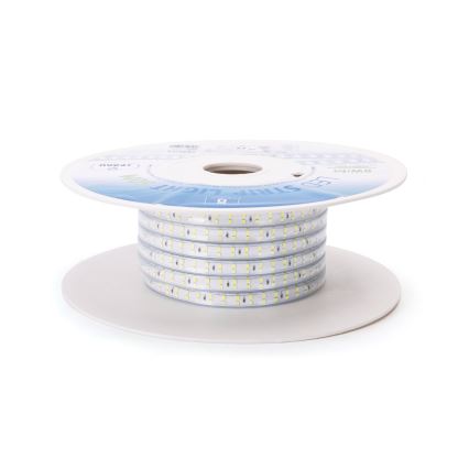 Aigostar - LED Riba LED/400W/230V 50m 6500K IP65