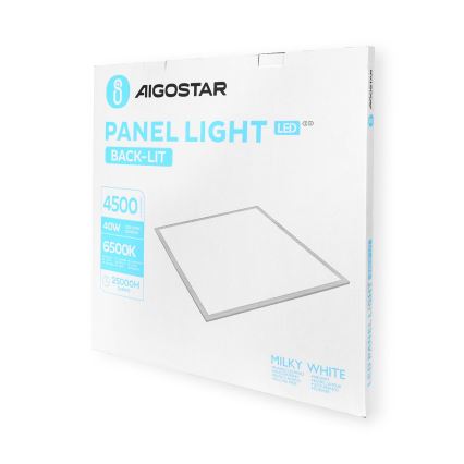 Aigostar - LED Süvistatav valguspaneel LED/40W/230V 6500K 60x60cm valge