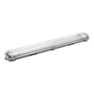 Aigostar - LED Tööstuslik luminofoorvalgusti 2xG13/9W/230V 4000K 66,6 cm IP65