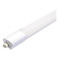 Aigostar - LED Tööstuslik valgusti LED/18W/230V 6500K 60 cm IP65