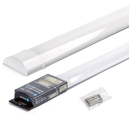 Aigostar - LED toruvalgusti LED/20W/230V 4000K 60 cm
