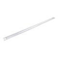 Aigostar - LED-toruvalgusti LED/50W/230V 6500K 150 cm