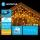 Aigostar - LED Väli valguskett 200xLED/8 funktsiooni 13x0,6m IP44 soe valge