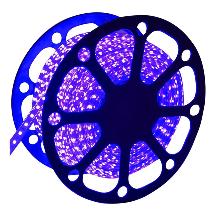 Aigostar - LED Väliriba 50m LED/300W/230V sinine IP65