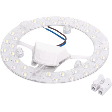 Aigostar - magnetiline LED-moodul LED/24W/230V 6500K