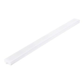 Aigostar - MESH LED toruvalgusti LED/40W/230V 6500K