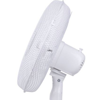 Aigostar - Põrandaventilaator 40W/230V 120 cm valge