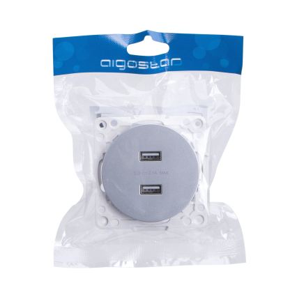 Aigostar - raamita USB-toitepesa 2x USB-A, hõbedane