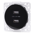 Aigostar - raamita USB-toitepesa 2x USB-A must