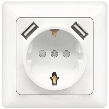 Aigostar - SCHUKO seinapistikupesa 250V + 2x USB raamiga, valge
