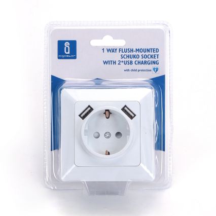 Aigostar - SCHUKO seinapistikupesa 250V + 2x USB raamiga, valge