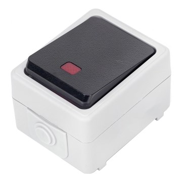 Aigostar - Ühenupuline lüliti IP54