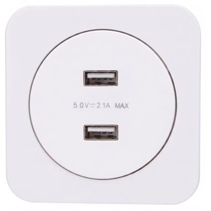 Aigostar - USB-laadimispesa raamiga, 2× USB-A, valge