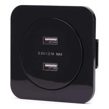 Aigostar - USB-toitepesa raamiga, 2× USB-A, must