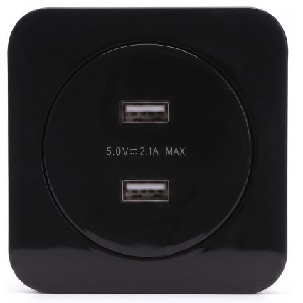 Aigostar - USB-toitepesa raamiga, 2× USB-A, must