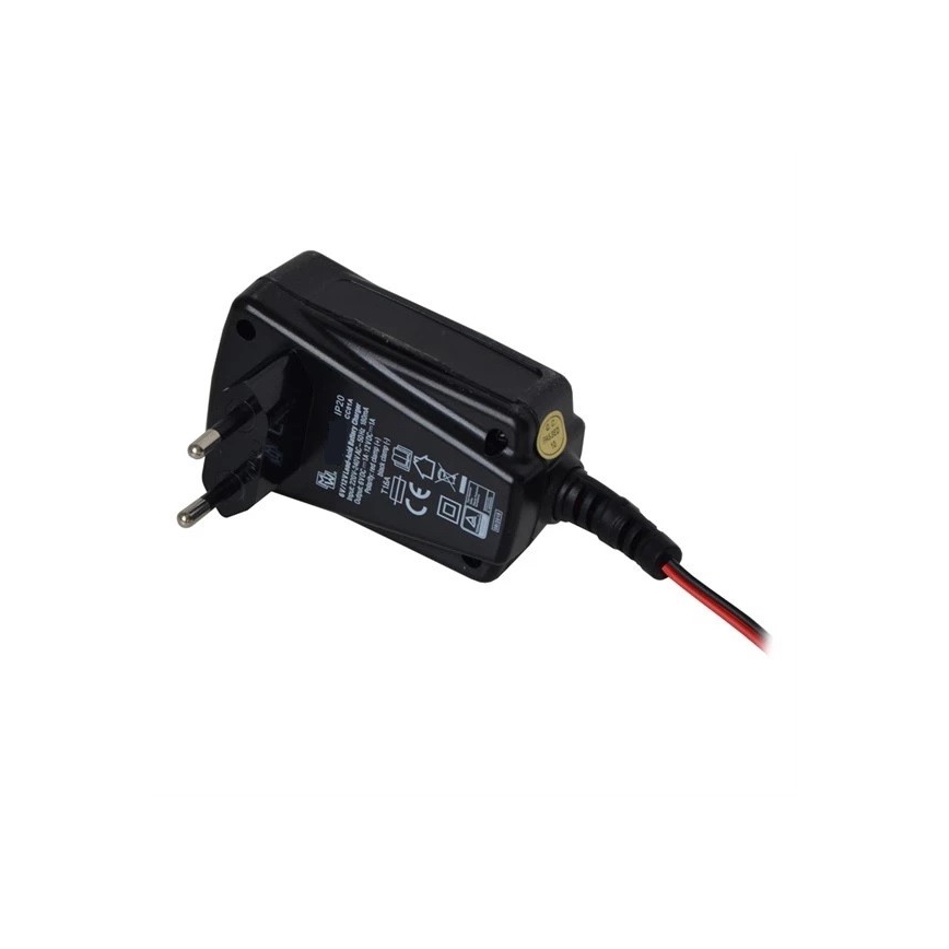 Akulaadija 1A 230V