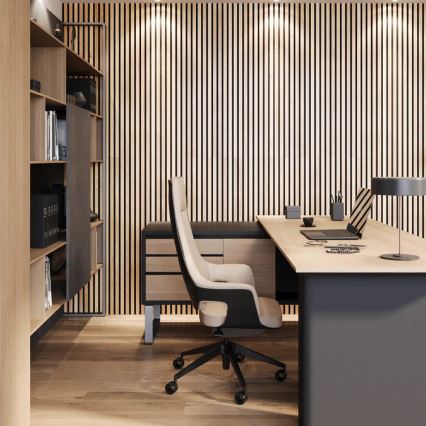 Akustiline seinapaneel VASALUND 240x52 cm tamm