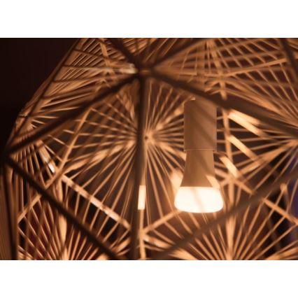 Algkomplekt Philips Hue WHITE AMBIANCE 2xE27/8W/230V + Hue Bridge ja hämarduslüliti
