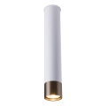 Amplex - punktvalgusti 1xGU10/10W/230V valge/kuldne