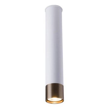 Amplex - punktvalgusti 1xGU10/10W/230V valge/kuldne