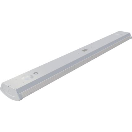 APLED - LED Pinnale kinnitatav valgusti TROUT LED/36W/230V 4000K + avarii