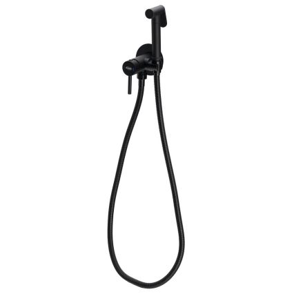 Aqualine - Bidee segisti koos dušiga peidetud paigaldamiseks matt must