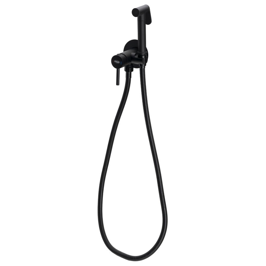 Aqualine - Bidee segisti koos dušiga peidetud paigaldamiseks matt must