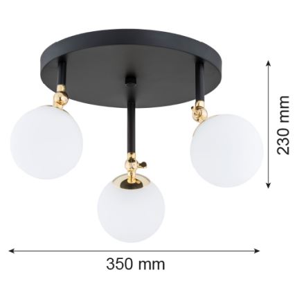 Argon 1436 - Kinnitatav lühter vannituppa LATINA 3xE14/40W/230V IP44