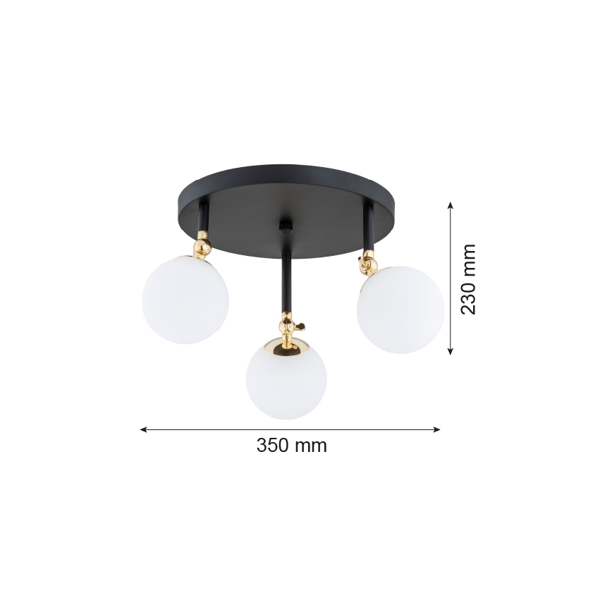 Argon 1436 - Kinnitatav lühter vannituppa LATINA 3xE14/40W/230V IP44