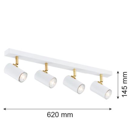 Argon 1689 - Kohtvalgusti LAGOS 4xGU10/5W/230V valge/kuldne