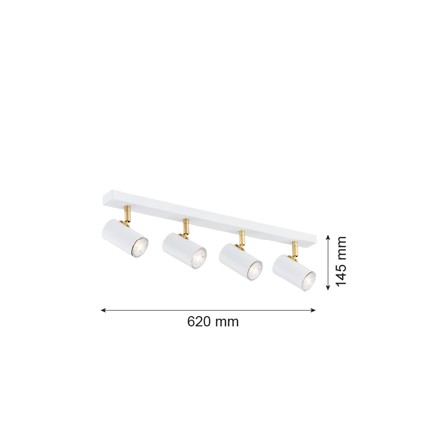 Argon 1689 - Kohtvalgusti LAGOS 4xGU10/5W/230V valge/kuldne