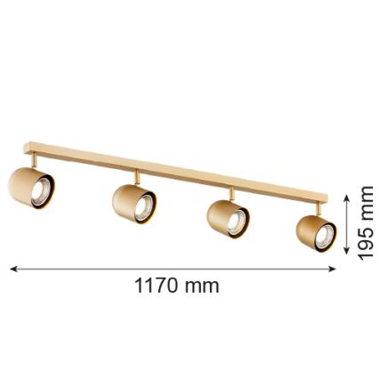 Argon 1810 - Kohtvalgusti ISOLA 4xGU10/5W/230V