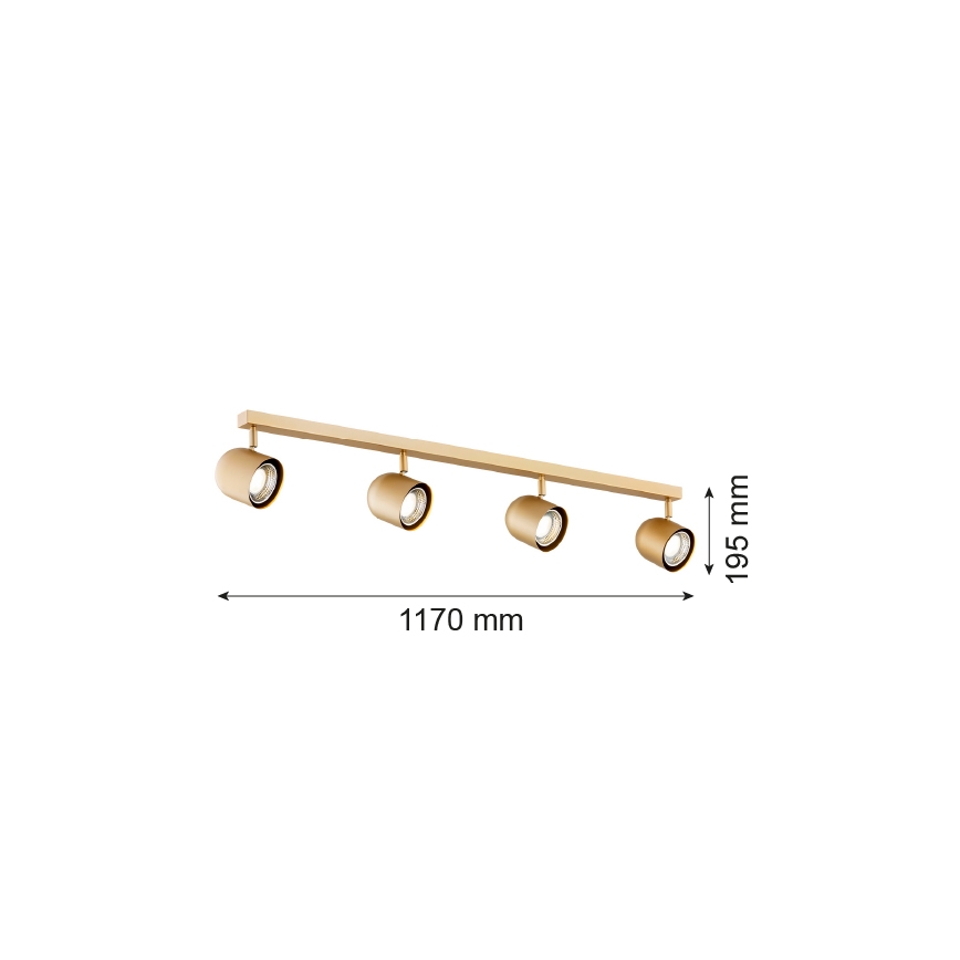 Argon 1810 - Kohtvalgusti ISOLA 4xGU10/5W/230V