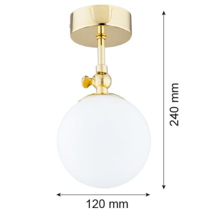 Argon 4001 - Kinnitatav lühter vannituppa LATINA 1xE14/40W/230V IP44