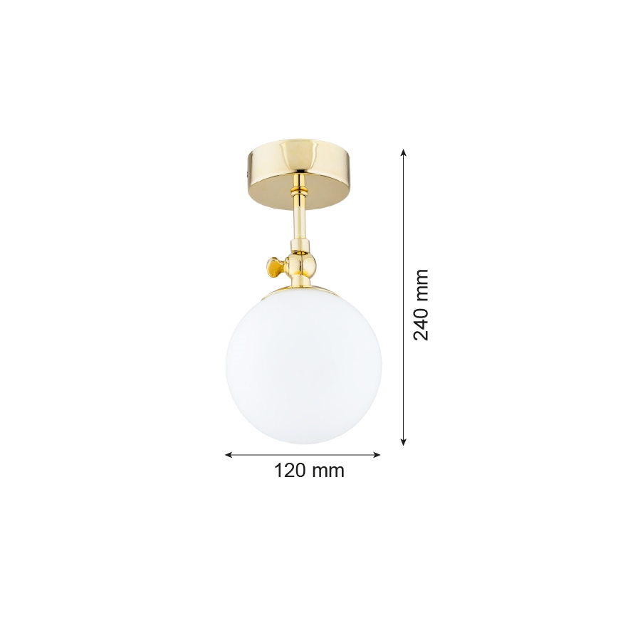 Argon 4001 - Kinnitatav lühter vannituppa LATINA 1xE14/40W/230V IP44