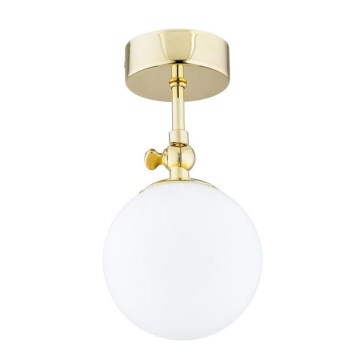 Argon 4001 - Vannitoa pinnapealne laelamp LATINA 1xE14/40W/230V IP44