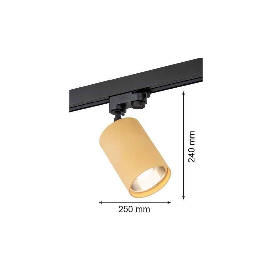 Argon 4304 - Kohtvalgusti rööbassüsteemile BERGEN 1xE27/15W/230V kuldne