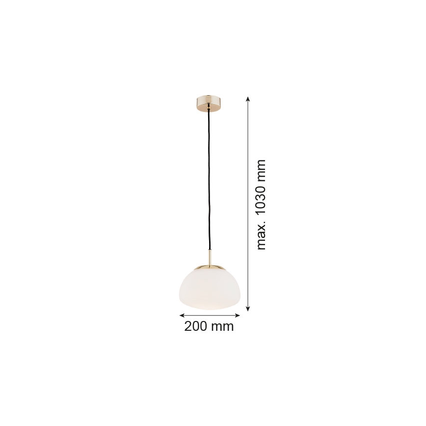 Argon 4352 - Lühter TRINI 1xE27/15W/230V d. 20 cm kuldne