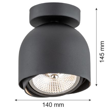 Argon 4711 - Kohtvalgusti GARLAND 1xGU10-AR111/12W/230V must