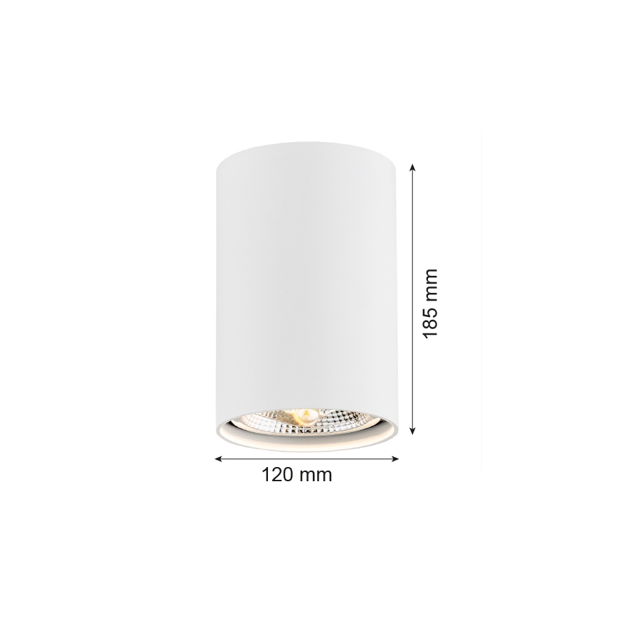 Argon 4910 - Kohtvalgusti TUBO AR111 1xGU10/15W/230V valge