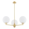 Argon 6307 - Ripplühter PALOMA 3xE14/7W/230V kuldne/valge