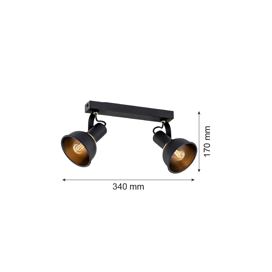 Argon 7037 - Kohtvalgusti TWIST 2xE14/7W/230V must/kuldne
