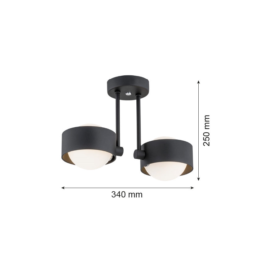 Argon 7089 - Lühter MASSIMO PLUS 2xG9/6W/230V must