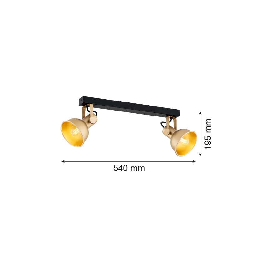 Argon 7144 - Kohtvalgusti LENORA 2xE14/7W/230V kuldne/must