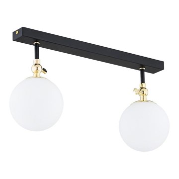 Argon 846 - vannitoa pinnapealne laelamp LATINA 2xE14/40W/230V IP44