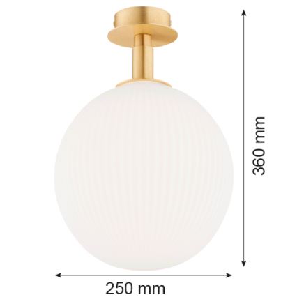 Argon 8505 - Laevalgusti PALOMA 1xE27/15W/230V kuldne/valge