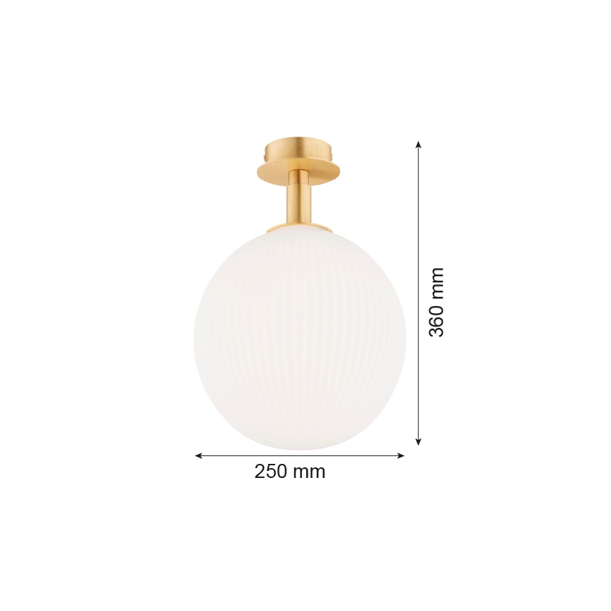 Argon 8505 - Laevalgusti PALOMA 1xE27/15W/230V kuldne/valge