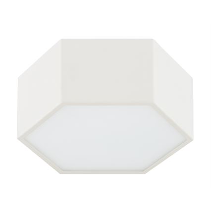 Argon 8781 - LED Laevalgusti LIBERO LED/12W/230V 3000K valge
