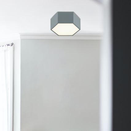 Argon 8784 - LED Laevalgusti LIBERO LED/12W/230V 3000K hall