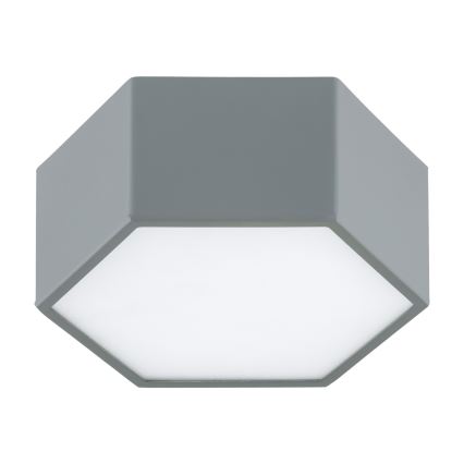 Argon 8784 - LED Laevalgusti LIBERO LED/12W/230V 3000K hall